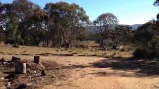 Dad's property in Nimmitabel NSW