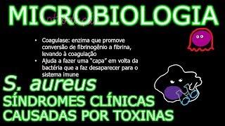 Aula: Microbiologia Médica #9 - Staphylococcus aureus: Síndromes clínicas causadas por toxinas