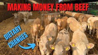 MAKING MONEY FROM BEEF… I BARE ALL!