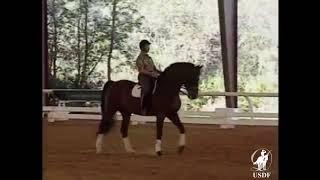 USDF 1993 National Symposium: The Walk and Reinback