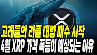 고래들의 리플 대량 매수 싲가 , 4월 리플 가격 폭등이 예상되는 이유 #xrp