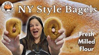 NY Style Bagels | Overnight Yeast Bagel | Fresh Milled Flour