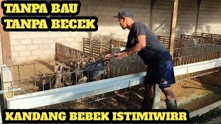 KANDANG BEBEK MINIMALIS & BEBAS BAU!!