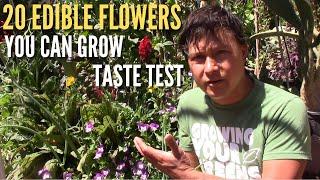 20 Edible Flowers You Can Grow & Eat Taste Test