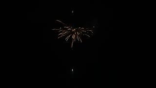 Pyroally Fireworks 25 Shots Cake  Golden Rain+Color Star Supplier #fireworks