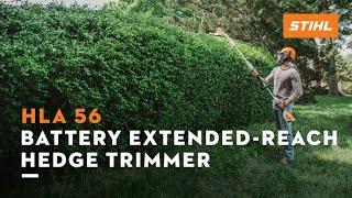 HLA 56 Battery-powered Extended Reach Hedge Trimmer AK System | STIHL