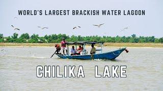 Rural Beauty of Chilika Lake Wildlife Sanctuary