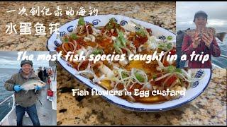 The most fish species caught in a single trip - fish flowers in egg custard / 一次创纪录的海钓 - 水蛋鱼花