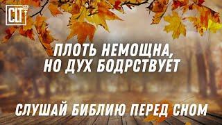 Мгновенный сон | Слово Божье – надежная опора | Звуки природы | Библия #Relaxing #bible #god #jesus