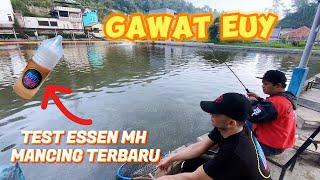 GASWAT EUY!! TEST ESSEN BARU MAIN GALATAMA IKAN MAS