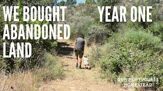 We bought abandoned land and this is what happened - Year One - Our Portuguese Homestead