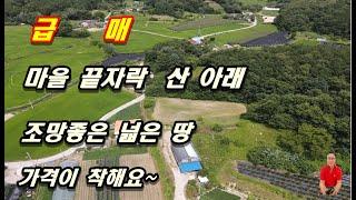 1-483[여주부동산][여주토지]급 매 마을끝 산자락아래 조망좋은 넓은땅, 조용하고 한갖진 가격착한 토지, 주말농장,주택부지로도 가능한 북내면부동산 급매