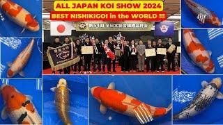 ALL JAPAN KOI SHOW 2024, all of the BEST NISHIKIGOI in the WORLD !!!