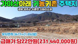 NO:1-313번#성주군땅.성주땅.성주군부동산.성주부동산.성주군공인중개사.경북성주군수륜면신파리귀농귀촌주택용지매매.성주군수륜면신파리귀농귀촌주택부지매매.성주군수륜면신파리귀농귀촌주택지