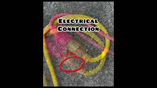 Extension cord