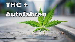 THC Grenzwert: Cannabis im Straßenverkehr 2024 und MPU