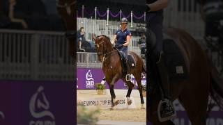 Make way for the  stunning FEI Dressage World Cup horses 