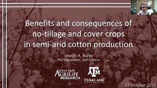 Benefits and Consequences of No-tillage and Cover Crop Use in Texas Semi-arid Cotton Production