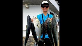 Fishing for Bluefish and Sea Bass aboard the Big Jamaica Party Boat!