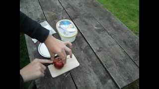 How to Grow Apple Trees from Seed