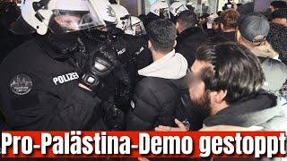 Pro-Palästina-Demo gestoppt