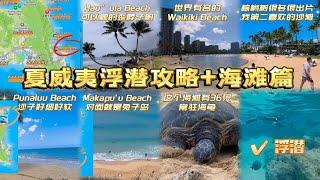 夏威夷浮潜攻略+恐龙湾抢票+sandbar省钱篇+海滩篇