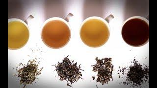 【动历史】绿茶白茶红茶黑茶…那么多种类的茶，竟然都是意外产物？