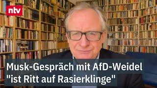 Musk-Gespräch mit AfD-Weidel "ist Ritt auf Rasierklinge" - Talk auf X geplant | ntv