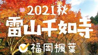 2021 Maple Viewing in Japan Kyushu ｜Raizan Senru-ji Temple｜Japan Travel VLOG