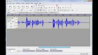 Audacity Noise Removal: How to Reduce That Background Hiss