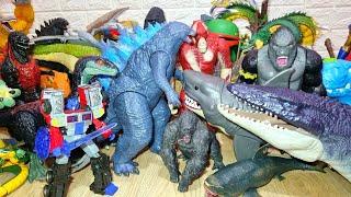 Hunting Godzilla vs Kong | Godzilla Action Figure | ASMR Godzilla vs Kong Toy Collection