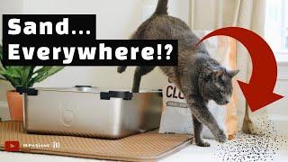 Minimize Cat Litter Tracking (Don't Use This Litter)!