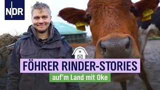 Oke und seine Rinder - Wie aus Mais Futter wird | NDR auf'm Land | Folge 7