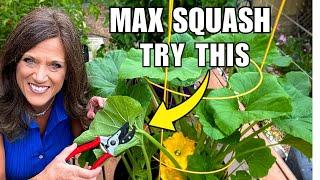 How to Prune Squash: Maximum Harvests, Less Space