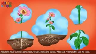 From Root to Flower - Children’s Bedtime Story