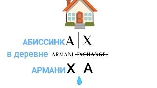 АБИССИНКА-РАЗВЕДКА С ОЧЕНЬ МАЛЫМ ДЕБИТОМ#абиссинскаяскважина #свояскважина52 #абиссинскийколодец