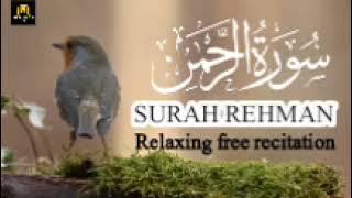 healing quran recitation surah rehman | سورہ رحمان | quran surah no 55