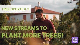Tree Update #3 - New sources to plant more trees!
