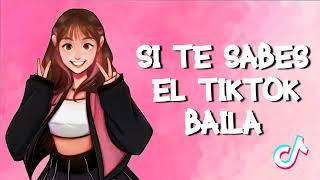 Si te sabes el tintok baila sin video