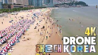 4K 부산 하늘 위에서의 드론여행 대한민국 1등 ️해운대해수욕장 부산바다 #dronekorea DRONE TOUR VISIT BUSAN HAEUNDAE BEACH KOREA