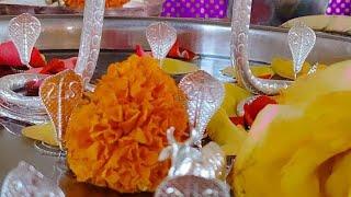 Kaal Sarp Puja in Trimbakeshwar Pandit Rishikesh Guruji #trimbakeshwar #shorts #mahashivratri