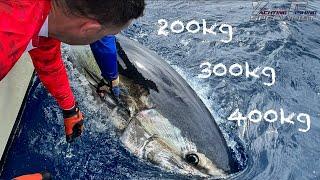 Pêche du thon rouge à Tenerife - YFS Tuna Fishing 2022