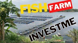 Fish farming investment opportunity in Ghana