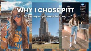 why i chose pitt | my experience & some advice