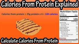 How To Calculate Calories Per Gram From Protein - Protein Calories Per Gram - Calories In Protein