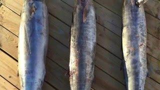 Beeracuda Fishing Team SKA Nationals 2015- Morehead City