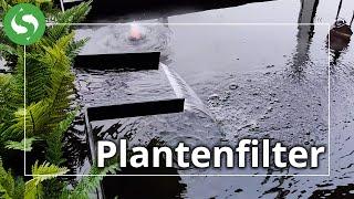 Het Plantenfilter | De eenvoudige manier om een waterval te creëren