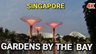 Singapore Marvels: Walking Tour of Gardens by the Bay, Marina Bay, and Marina Bay Sands