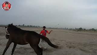 Villag life style 2024|| Beautiful my horse video