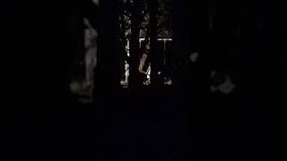 FANTASMA DE UNA NENA APARECE EN PARQUE DE MEXICO #fantasmas       #fantasma        #espanto